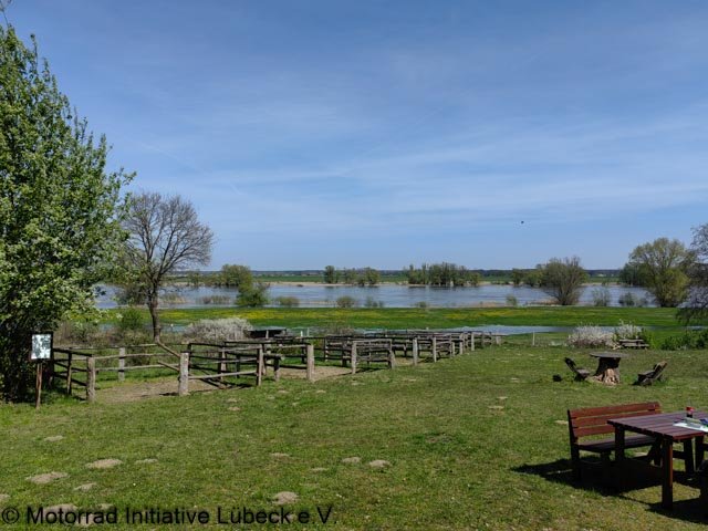 22.April MIL Ausfahrt Elbe / Elbdorado